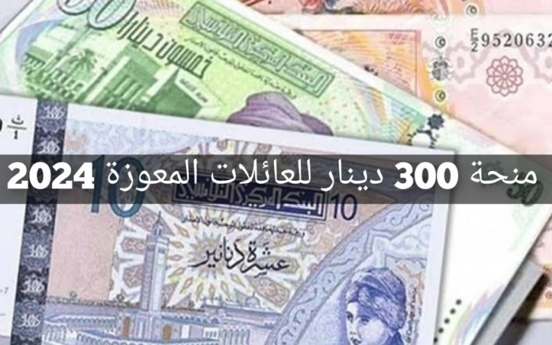 منحة 300 دينار في تونس 2024 عبر موقع وزارة الشؤون الاجتماعية