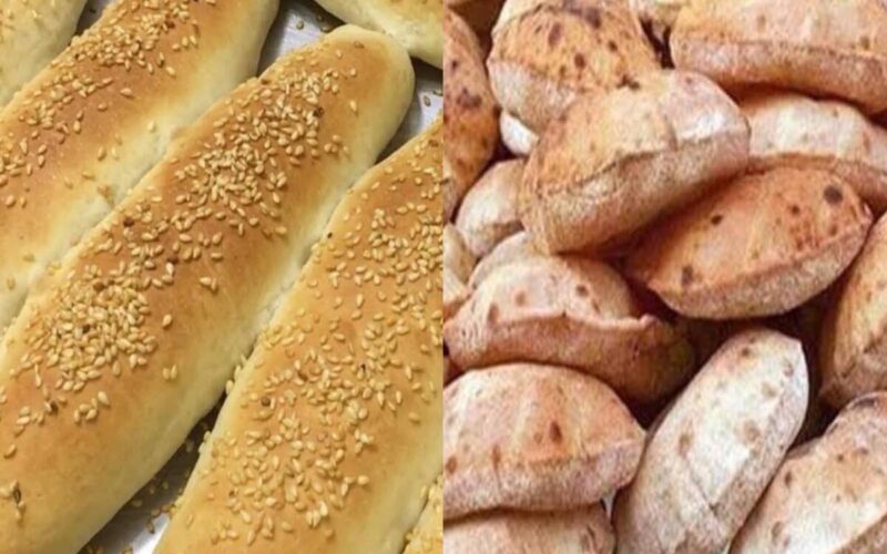 “رسميا” الإعلان عن أسعار الخبز السياحي والفينو بعد التخفيض 2024 في مصر: أسعار السلع الأساسية اليوم في الأسواق المصرية