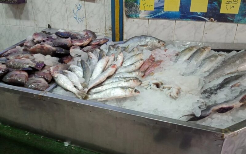 إلحق دلوقتي.. إنخفاض أسعار السمك اليوم الخميس 25 أبريل 2024 بعد حملة المقاطعة