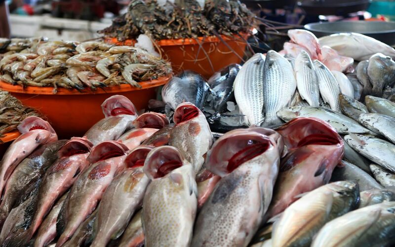 قائمة اسعار السمك اليوم الثلاثاء 7 مايو 2024 داخل سوق العبور