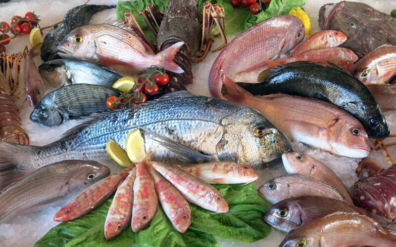 قائمة اسعار السمك البلطي للمستهلك في سوق العبور اليوم الأثنين 13 مايو 2024