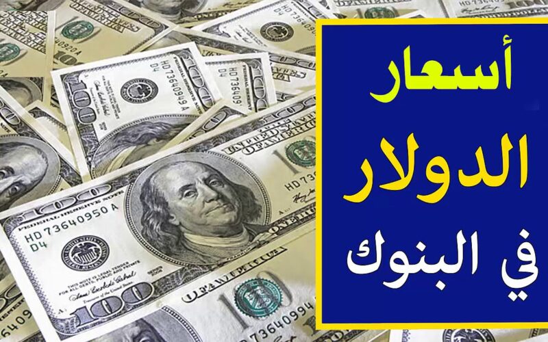 سعر الدولار اليوم مقابل الجنيه المصري اليوم الثلاثاء 7 مايو 2024 في جميع البنوك