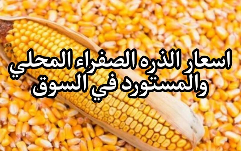 “عامل كام انهارده” سعر طن الذرة الصفراء اليوم الأربعاء بتاريخ 8 مايو 2024